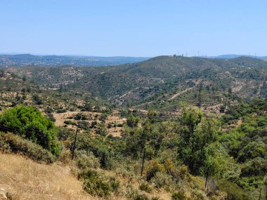 Güneşli bir günde vadideki çayırlar