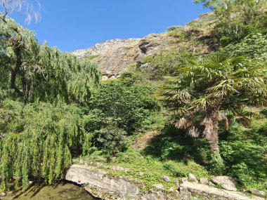 İlkbahar günü Cazorla dağlarında doğa ile çevrili bir nehir.