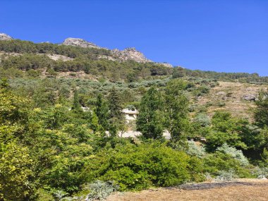 Güneşli bir günde Cazorla vadisinde dağlar
