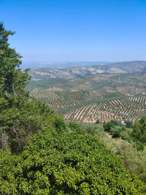 Güneşli bir günde Cazorla vadisinde dağlar