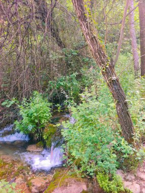 Güneşli bir günde İspanya 'nın güneyindeki bir nehirde şelale.