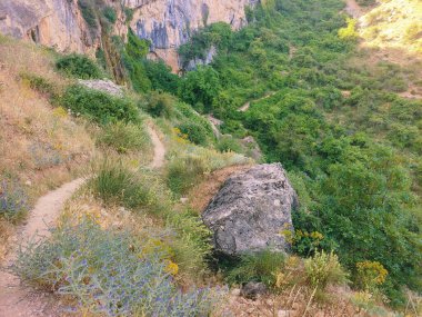 Güneşli bir günde İspanya 'nın güneyindeki Cazorla tepesinde ağaçlar