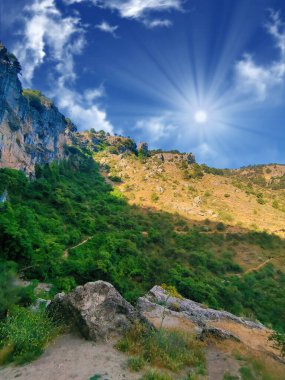 Güneşli bir günde İspanya 'nın güneyindeki Cazorla tepesinde ağaçlar