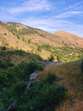 Güneşli bir günde İspanya 'nın güneyindeki Cazorla tepesinde ağaçlar