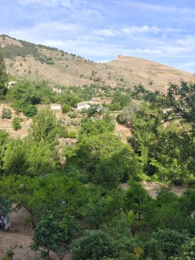 Güneşli bir günde İspanya 'nın güneyindeki Cazorla tepesinde ağaçlar