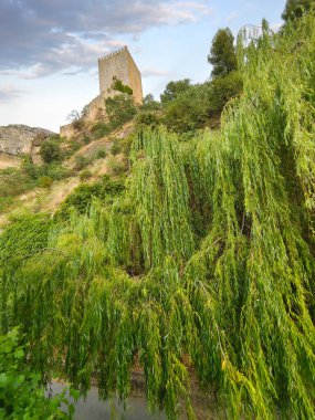 Güneşli bir günde fon oluşturan bir arkaplan bırakır
