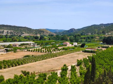 İspanya 'nın güneyindeki çayırlarda İspanyol tarımı