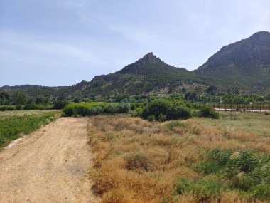 İspanya 'nın güneyindeki çayırlarda İspanyol tarımı