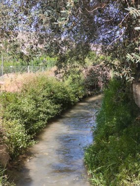 İspanya 'nın güneyindeki Cieza' da güneşli bir günde nehir