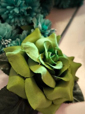 Beyaz arka planda birkaç çiçek