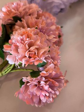 Beyaz arka planda birkaç çiçek