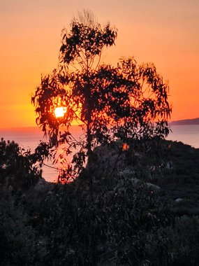 İspanya 'nın kuzeyindeki Cangas plajında gün batımı
