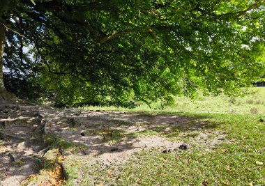 İngiltere 'nin güneyindeki Avebury' de bulutlu bir günde Megalitik taşlar