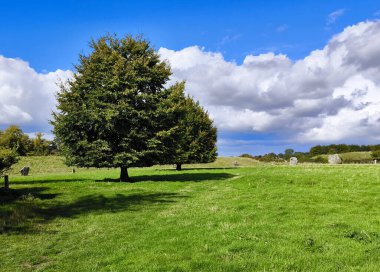 İngiltere 'nin güneyindeki Avebury' de bulutlu bir günde Megalitik taşlar