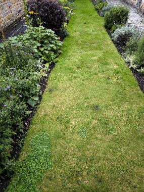 İngiltere 'nin güneyinde, bulutlu bir günde çiçekli bir bahçe