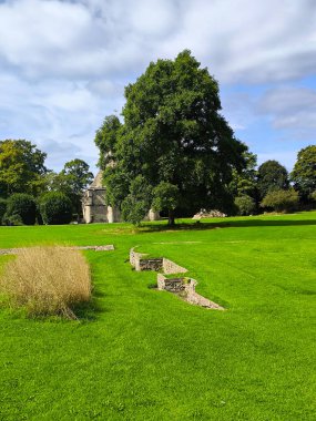 Bulutlu bir günde Glastonbury 'de ağaçlarla park et.