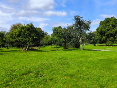 Park with trees in Glastonbury in a cloudy day clipart