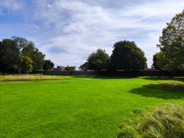Bulutlu bir günde Glastonbury 'de ağaçlarla park et.