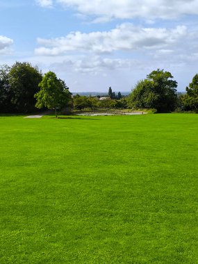 Bulutlu bir günde Glastonbury 'de ağaçlarla park et.