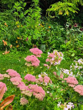 İngiltere 'nin güneyinde, Glastonbury' de çiçekli bir bahçe bulutlu bir günde