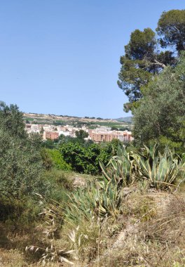 İspanya 'nın güneyindeki köy doğayla güneşli bir günde