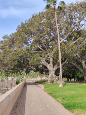 Kartagena, İspanya 'nın güneyinde güneşli bir günde. Burası kıyı kenti..