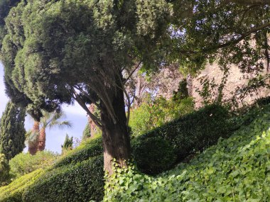 Kartagena, İspanya 'nın güneyinde güneşli bir günde. Burası kıyı kenti..