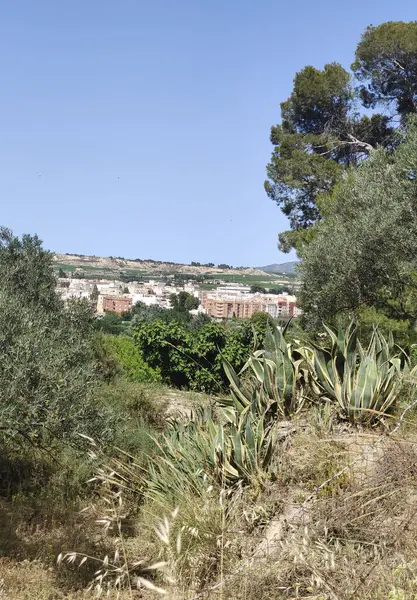 İspanya 'nın güneyindeki köy doğayla güneşli bir günde