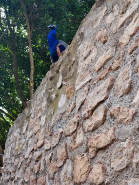 Kartagena, İspanya 'nın güneyinde güneşli bir günde. Burası kıyı kenti..