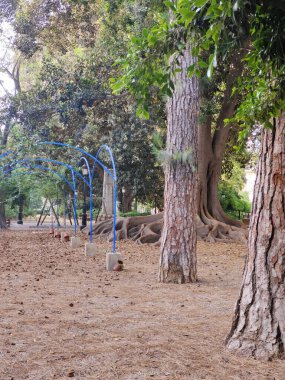 Güneşli bir günde Murcia 'da nehir kenarındaki çiçekler.