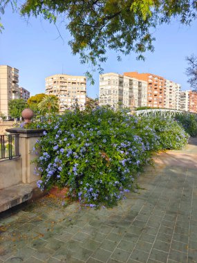 Güneşli bir günde çakırkeyif mimarisi olan Murcia caddesi.