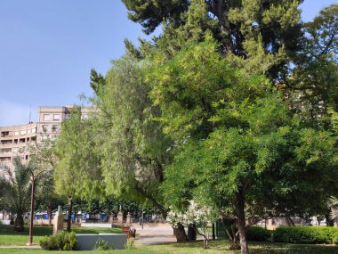 Güneşli bir günde Murcia 'da nehir kenarındaki çiçekler.