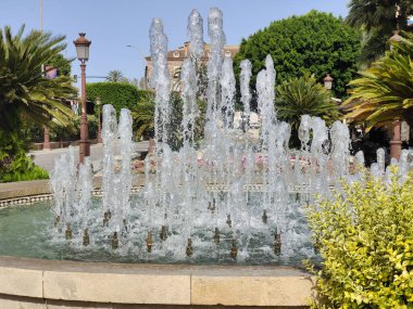 Güneşli bir günde Murcia 'da nehir kenarındaki çiçekler.