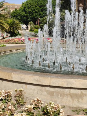 Güneşli bir günde Murcia 'da nehir kenarındaki çiçekler.