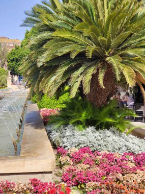 Güneşli bir günde Murcia 'da nehir kenarındaki çiçekler.