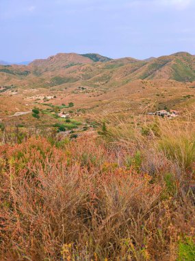 Güneşli bir günde İspanya 'nın güneyinde tarım arazisi