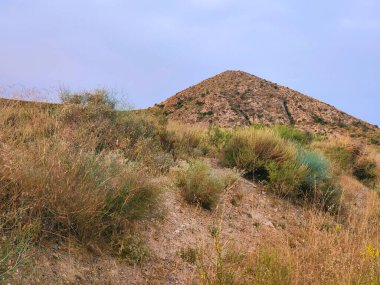 Güneşli bir günde İspanya 'nın güneyinde tarım arazisi