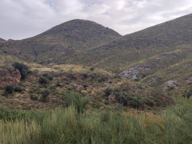 Güneşli bir günde İspanya 'nın güneyinde tarım arazisi