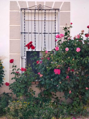 Güneşli bir günde İspanya 'nın güneyinde pencereleri olan bir sokak.