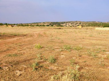 Güneşli bir günde İspanya 'nın güneyinde bir tepe
