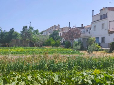 Güneşli bir günde İspanya 'nın güneyinde bir tepe