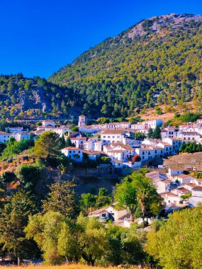 Güneşli bir günde İspanya 'nın güneyindeki Grazalema köyü