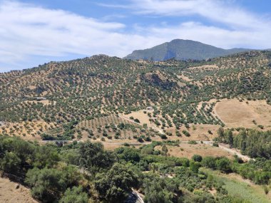 İspanya 'nın güneyindeki Grazalema' daki dağlar güneşli bir günde