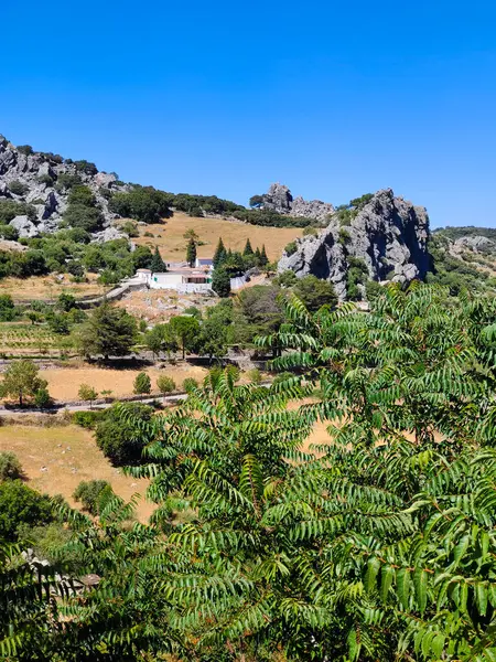 İspanya 'nın güneyindeki Grazalema' daki dağlar güneşli bir günde