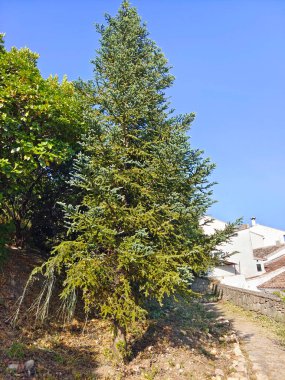 İspanya 'nın güneyinde bir köy Güneşli bir günde dağlarda