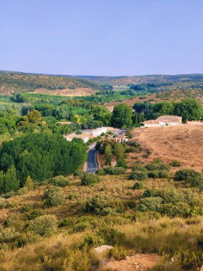 Güneşli bir günde doğada tarım