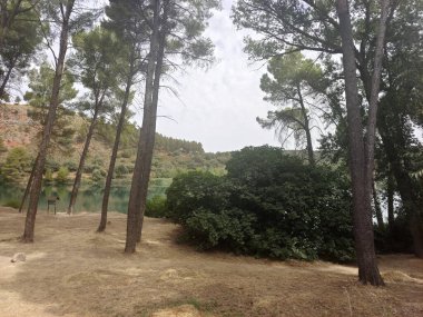 Güneşli bir günde doğada tarım