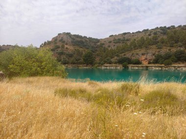 Güneşli bir günde doğada tarım