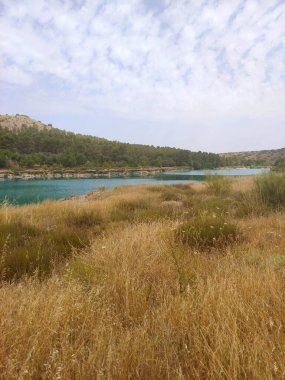 Güneşli bir günde doğada tarım
