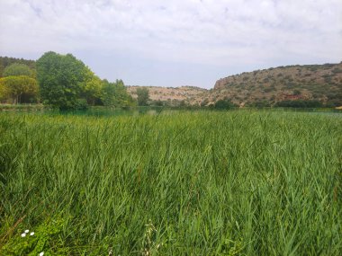 Güneşli bir günde doğada tarım